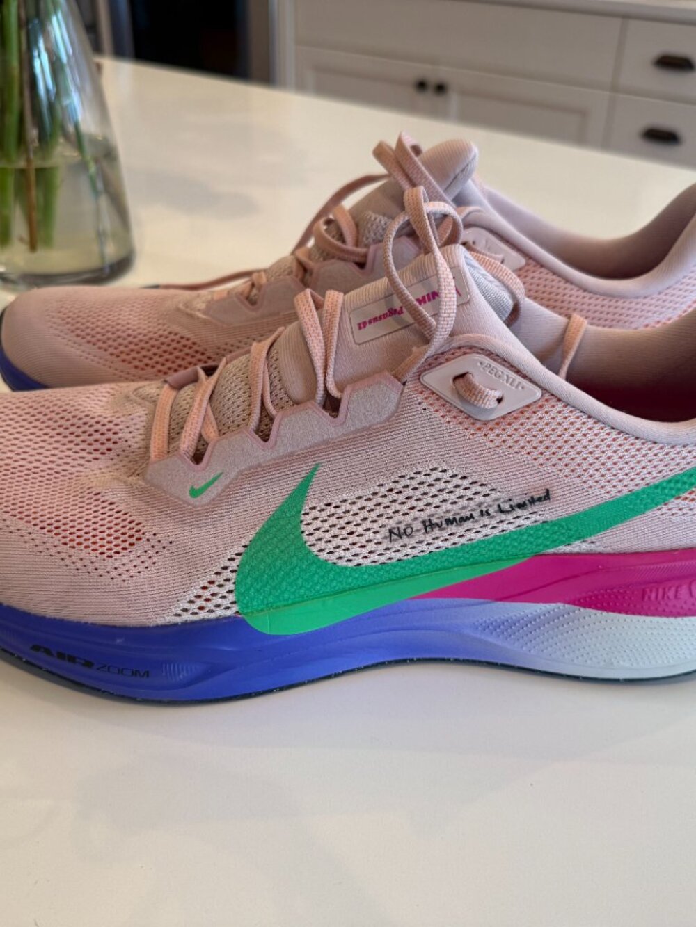 Nike Pegasus 41 "Eliud Kipchoge" - Picture 2 of 4